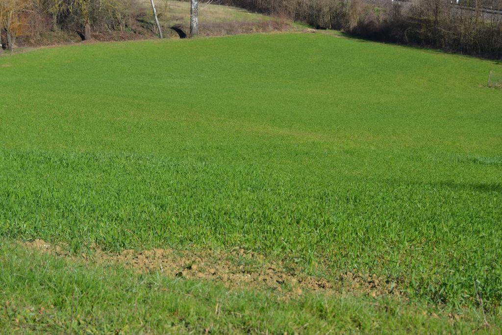 Agriturismo La Querce Rignano sullʼArno Δωμάτιο φωτογραφία