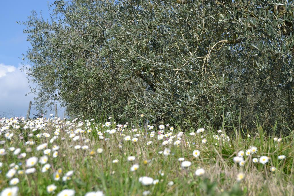 Agriturismo La Querce Rignano sullʼArno Εξωτερικό φωτογραφία