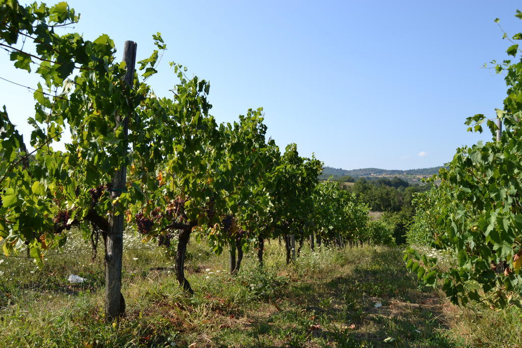 Agriturismo La Querce Rignano sullʼArno Εξωτερικό φωτογραφία